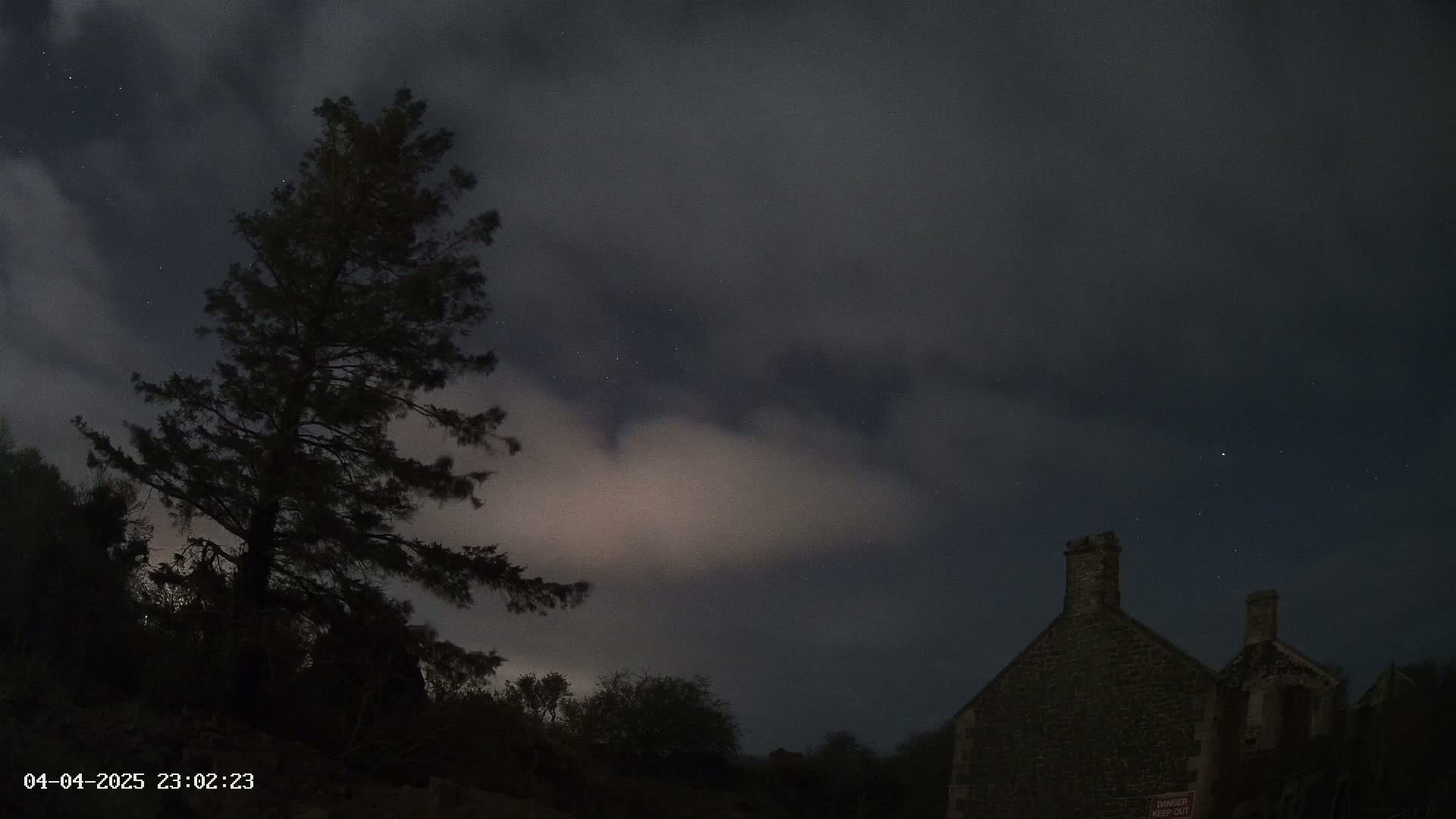 A tall, dark evergreen tree stands to the left of a stone building under a night sky with a few stars visible through cloudy cover.
