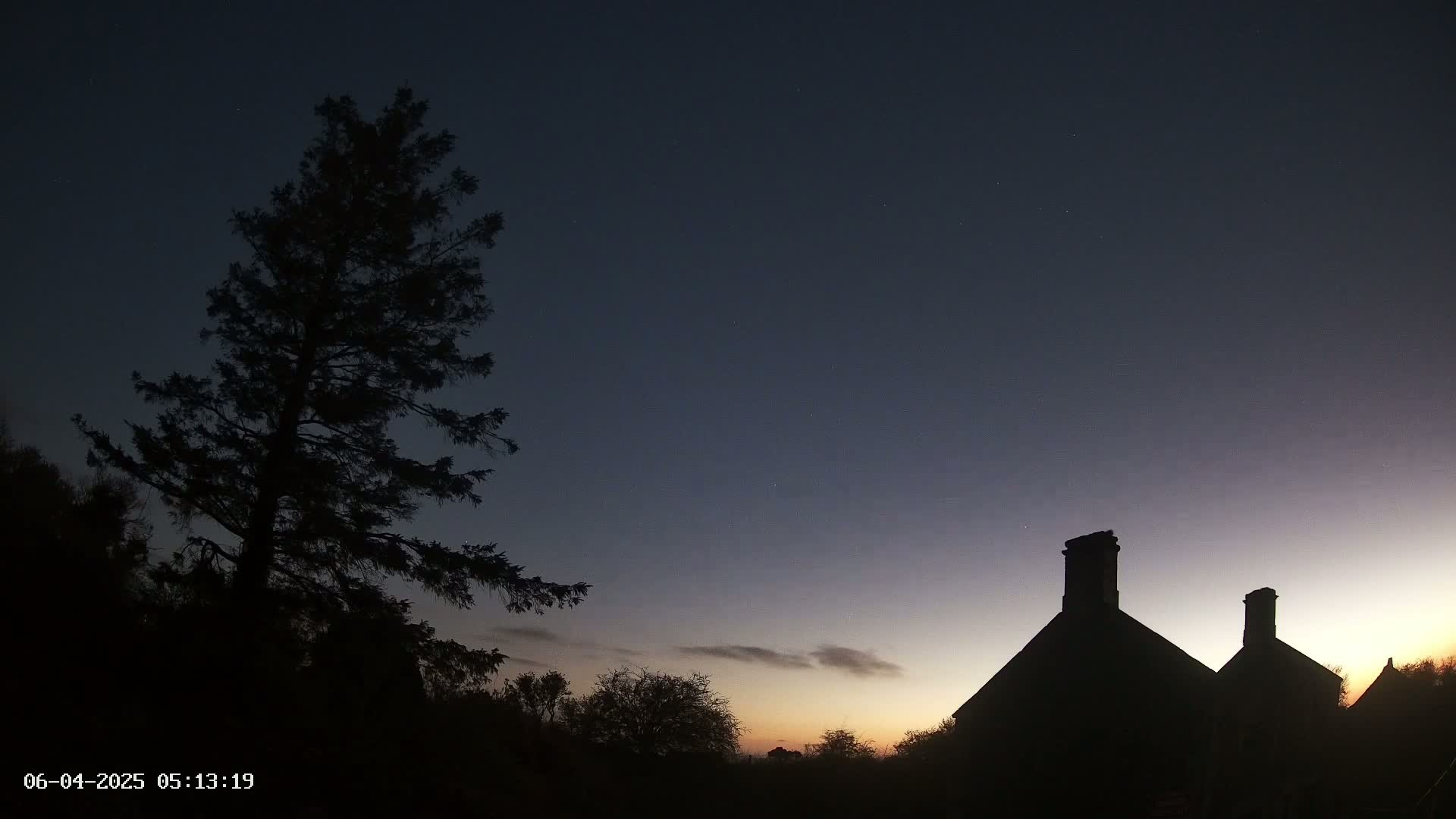 A tall, dark evergreen tree stands to the left of a silhouetted building with two chimneys against a twilight sky.