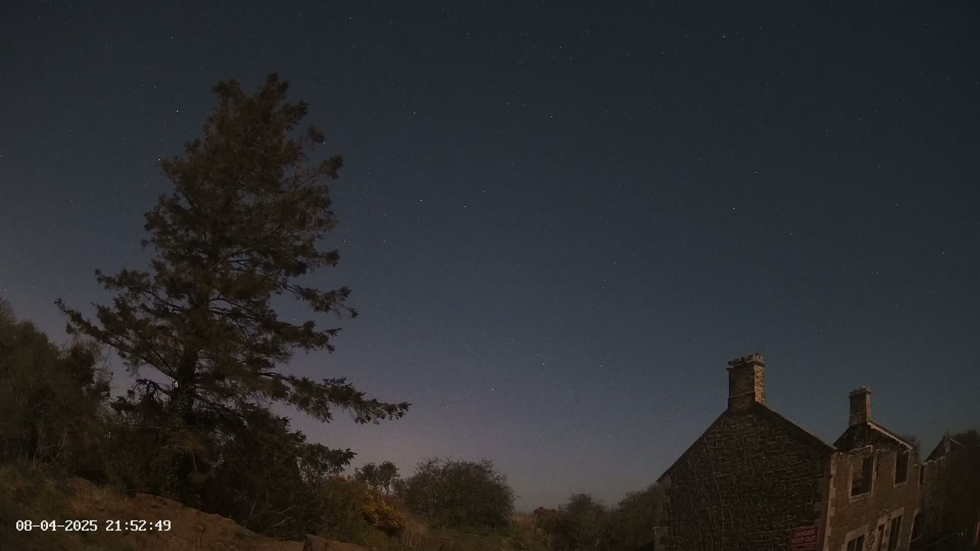 A tall evergreen tree stands to the left of a dark stone building under a clear, starry night sky.