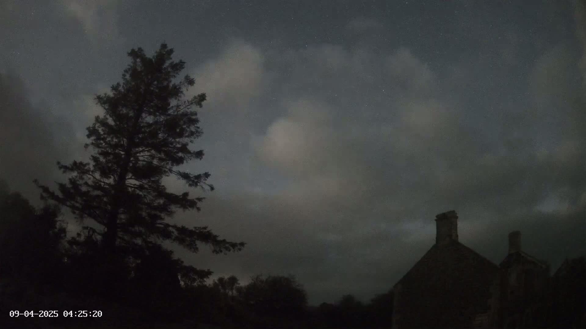 A tall, dark pine tree stands silhouetted against a night sky partially covered in clouds, with a stone building also visible in the darkness.