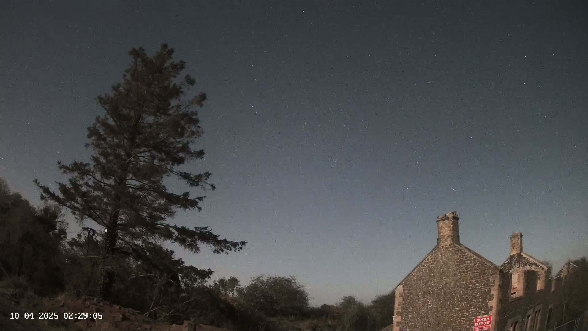 Under a clear, starry night sky, a tall evergreen tree stands beside a stone ruin with two chimneys.