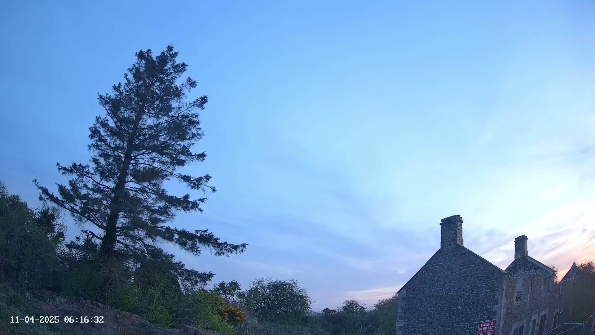 A tall, dark evergreen tree stands to the left of a stone building under a clear, twilight sky.
