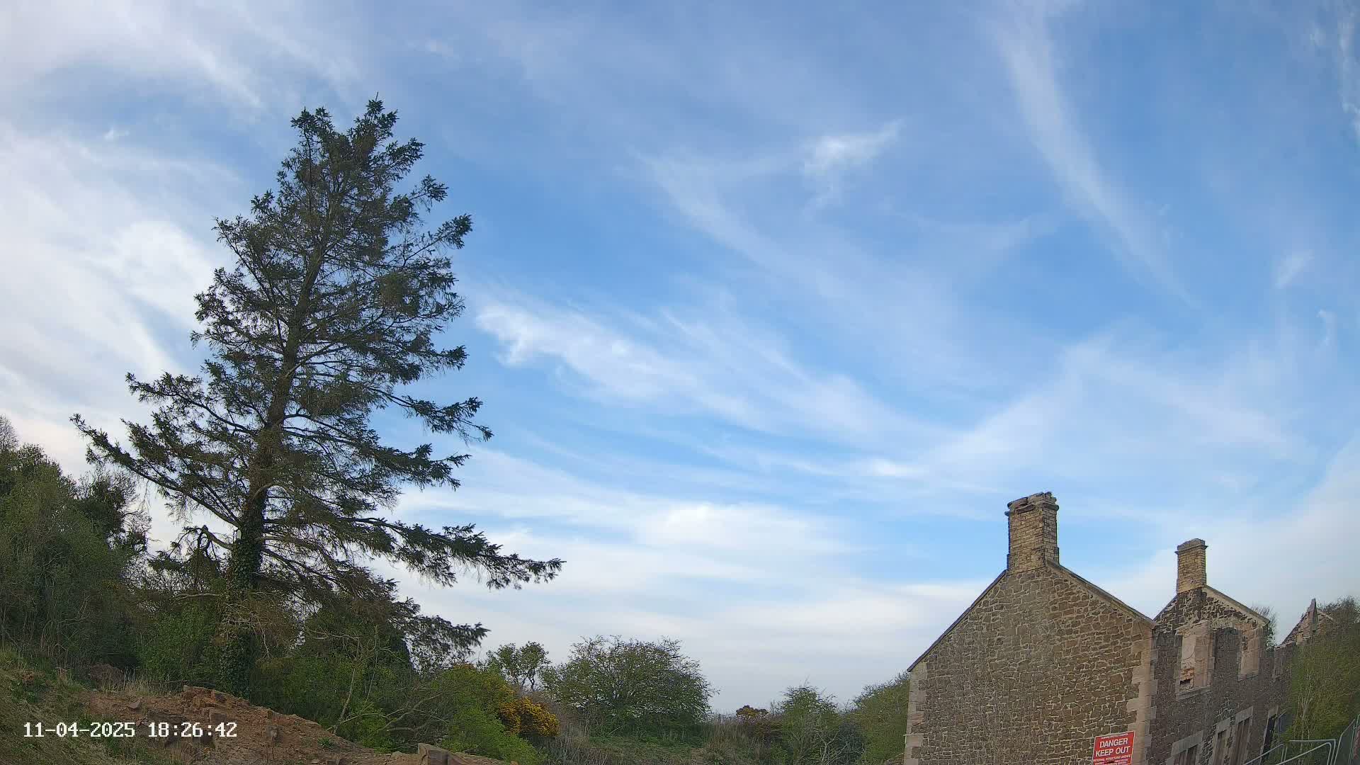 A tall evergreen tree stands beside a stone building under a mostly clear blue sky with wispy clouds.