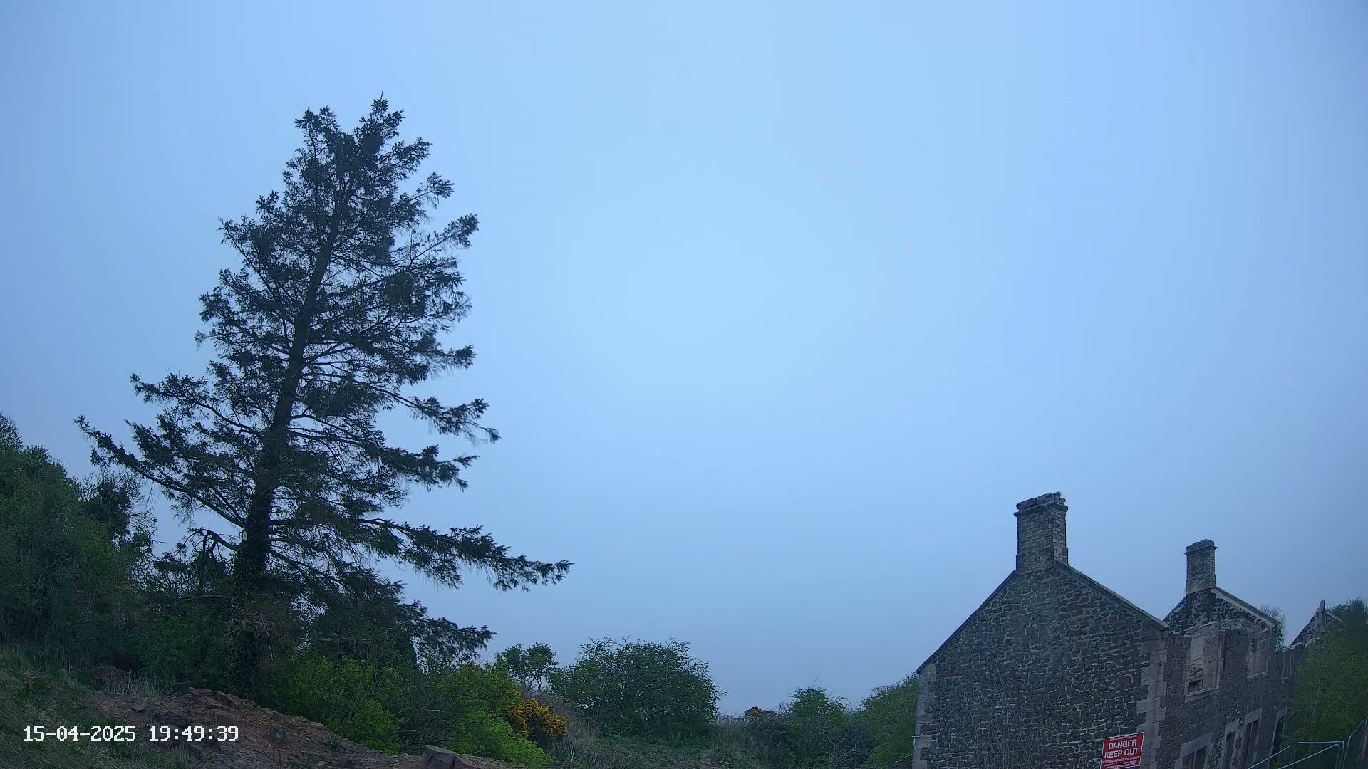 A tall evergreen tree stands to the left of a stone building under a hazy, light-blue sky.