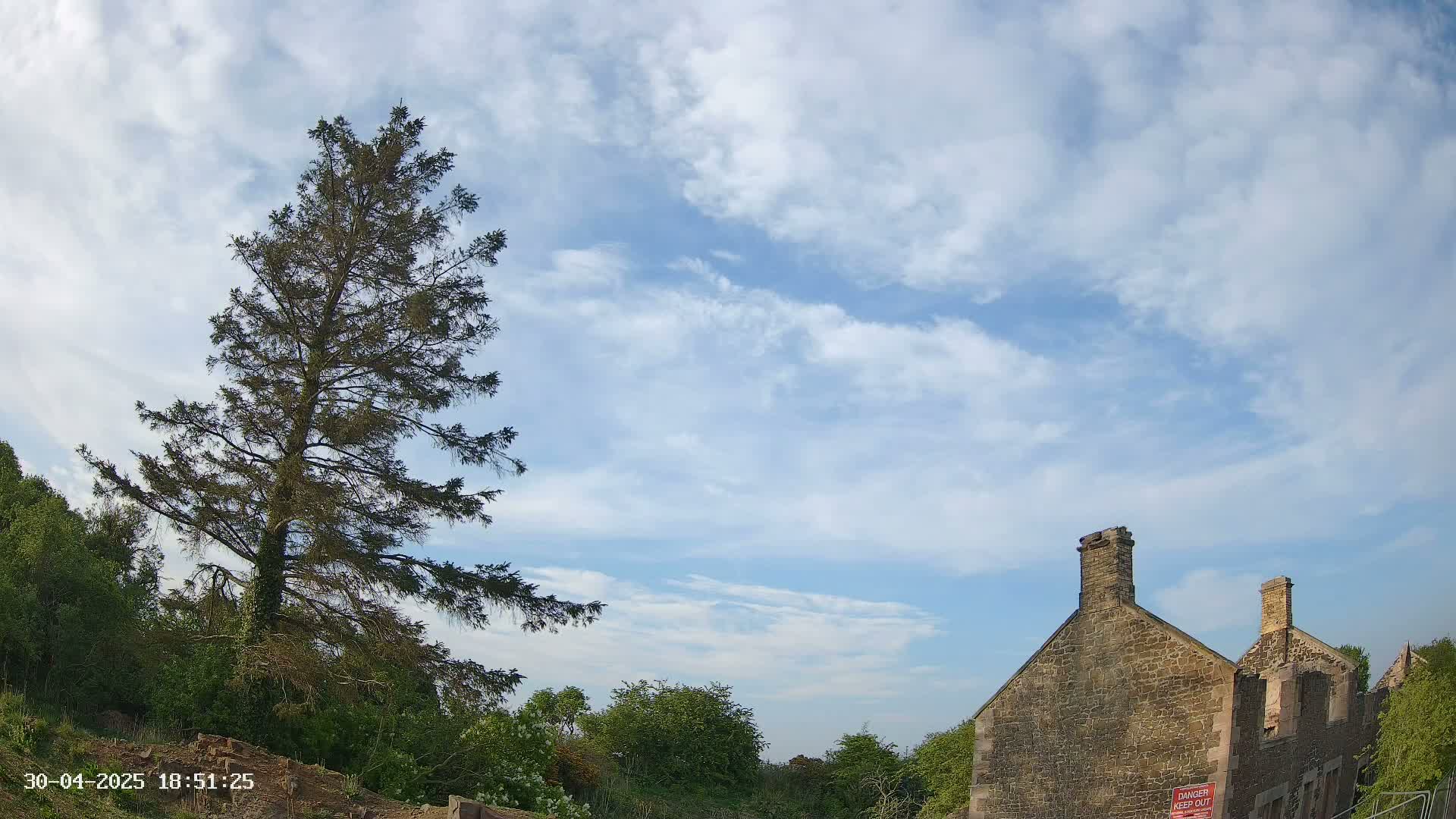A tall pine tree stands to the left of a partly ruined stone building under a mostly sunny sky with scattered clouds.