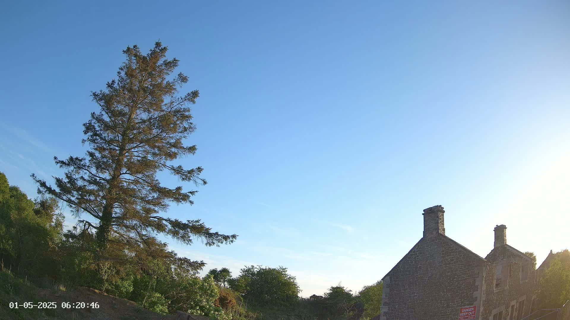 A tall, slender evergreen tree stands to the left of a stone building under a clear blue sky.