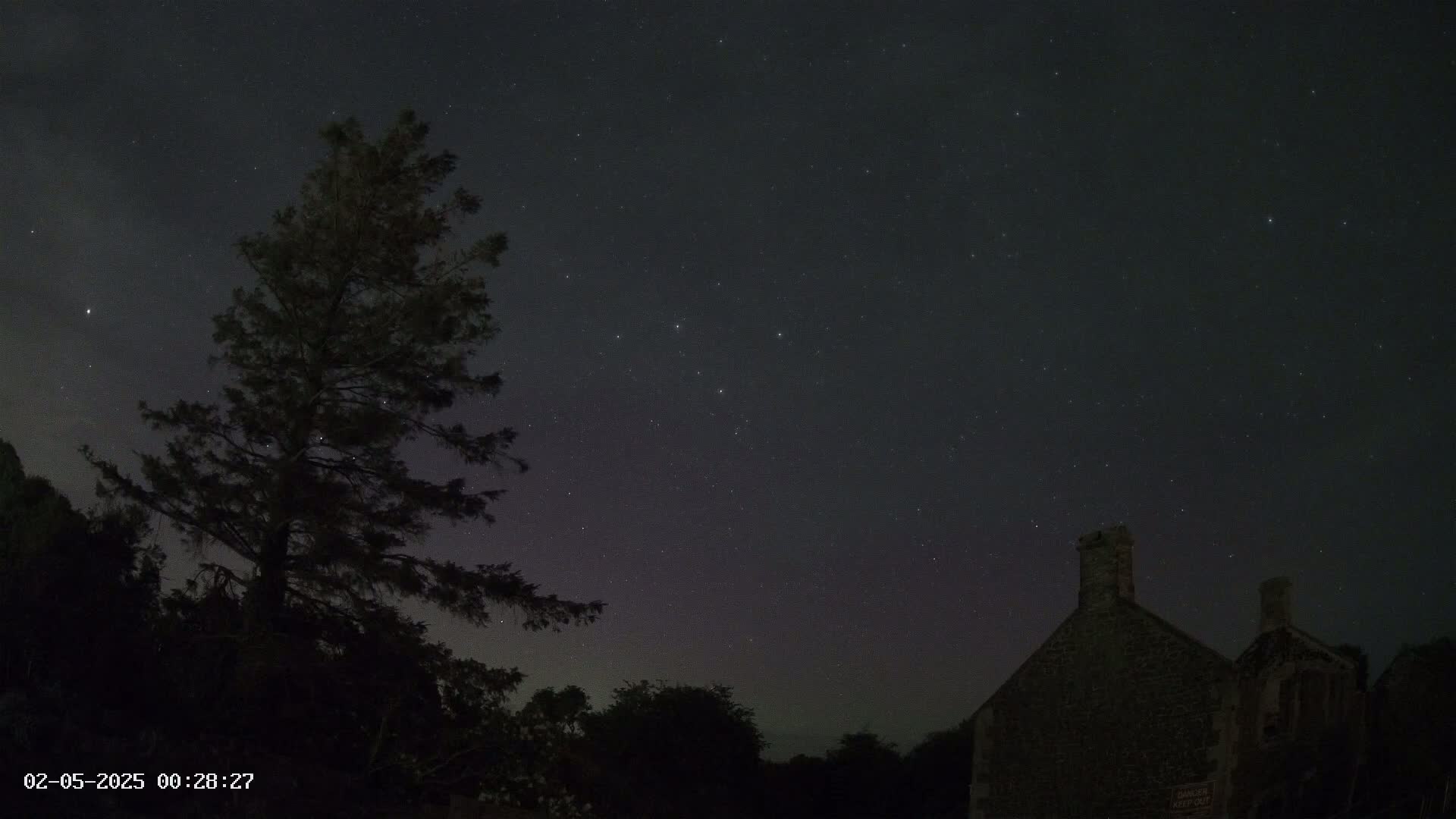 A silhouetted tree and stone building are visible against a dark night sky filled with stars.