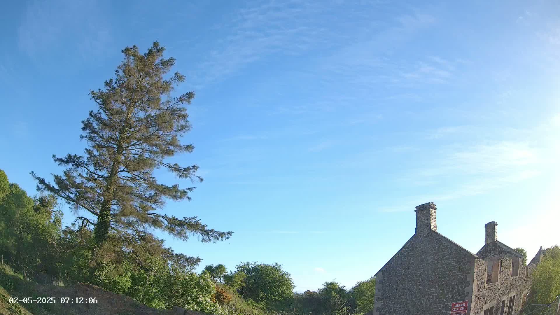 A tall, slender evergreen tree stands to the left of a partially ruined stone building under a clear, bright blue sky.