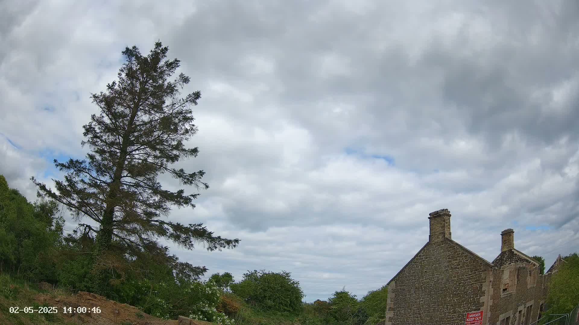 A tall evergreen tree stands to the left of a partially ruined stone building under a mostly cloudy sky.