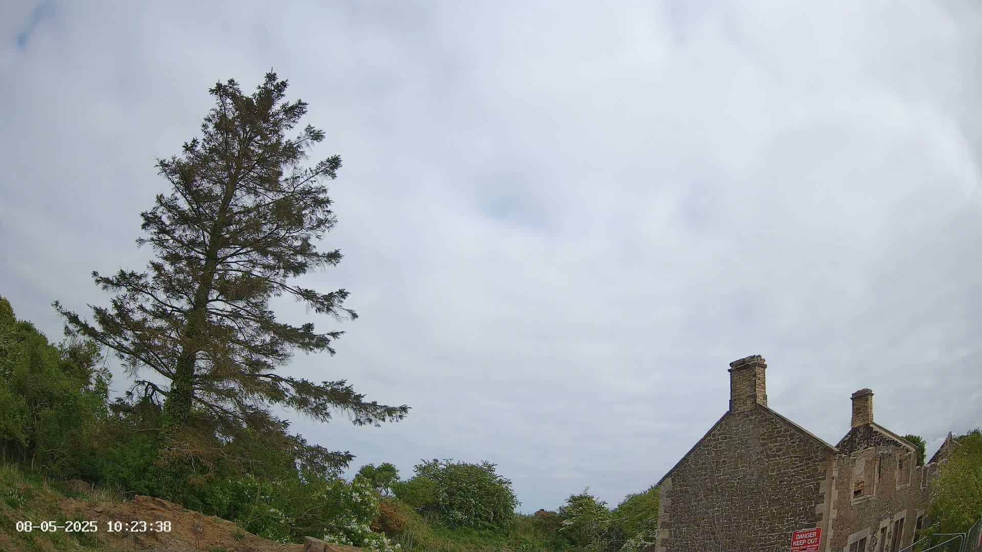 A tall evergreen tree stands to the left of a partially ruined stone building under a cloudy sky.