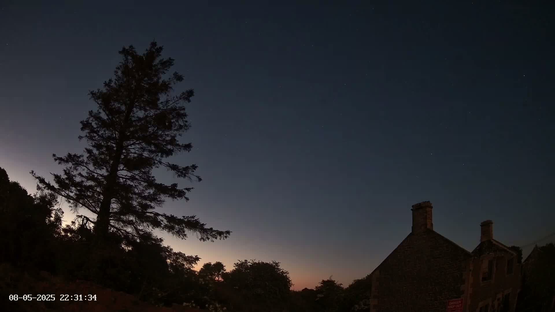 A tall, dark evergreen tree stands silhouetted against a twilight sky, next to a stone building under a mostly clear, starry night.