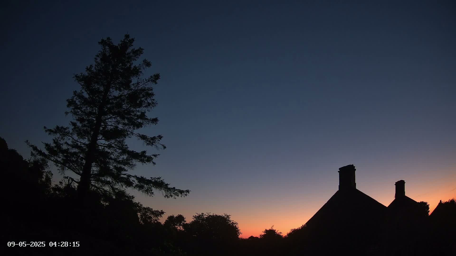 A tall, dark evergreen tree stands silhouetted against a twilight sky, next to a dark house with two chimneys, as the sun sets on the horizon.