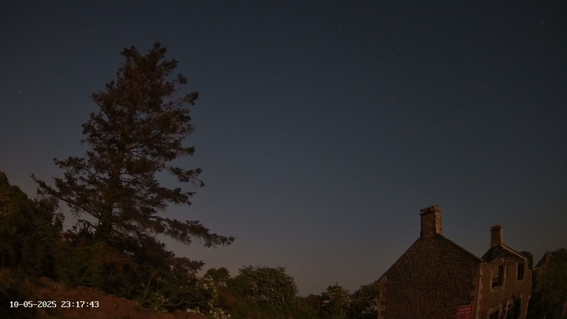 A tall, dark evergreen tree stands to the left of a stone building under a clear, starlit night sky.