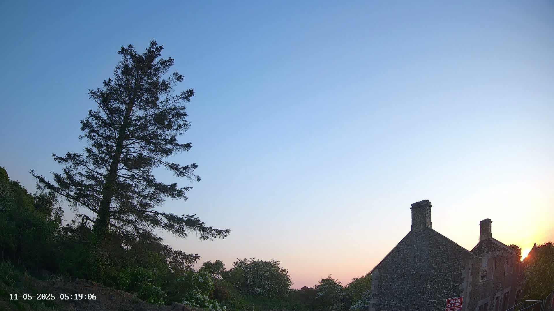 A tall evergreen tree stands to the left of a stone building at sunset under a clear blue sky.