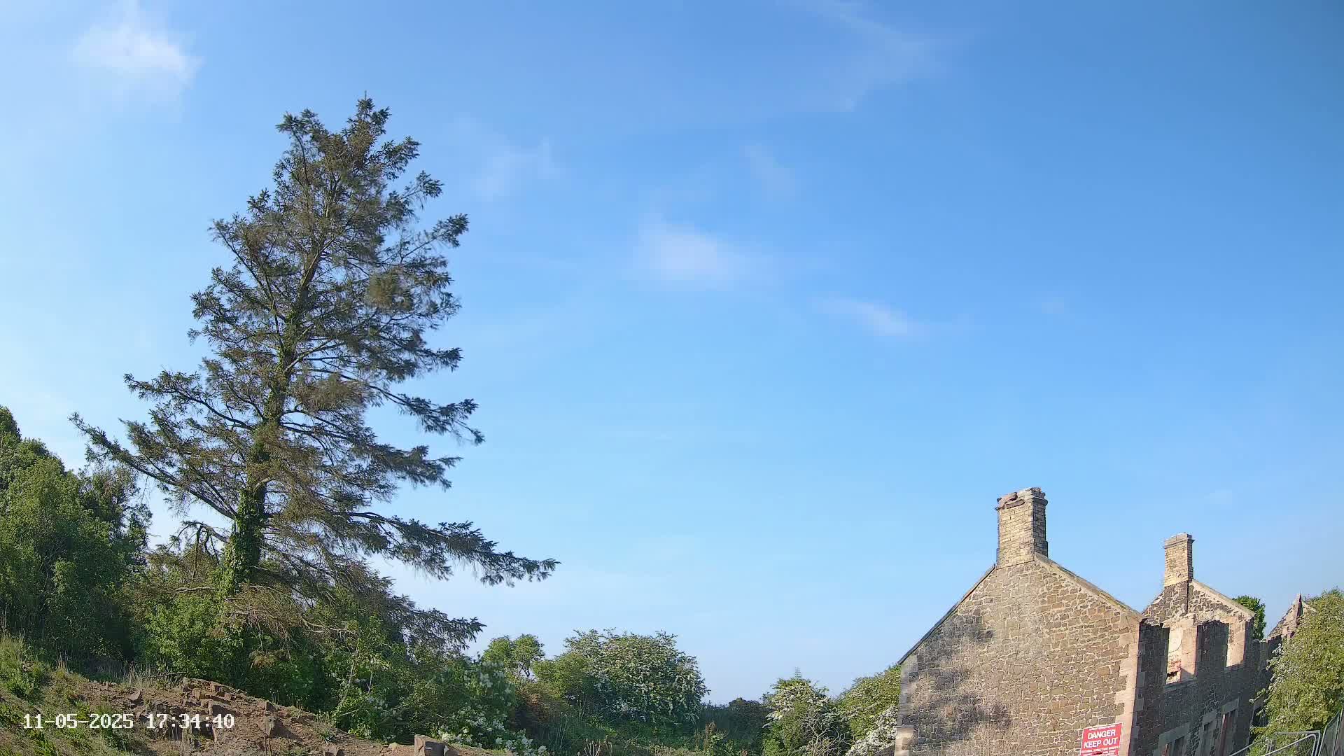 A tall evergreen tree stands to the left of a partially ruined stone building under a mostly clear, bright blue sky.