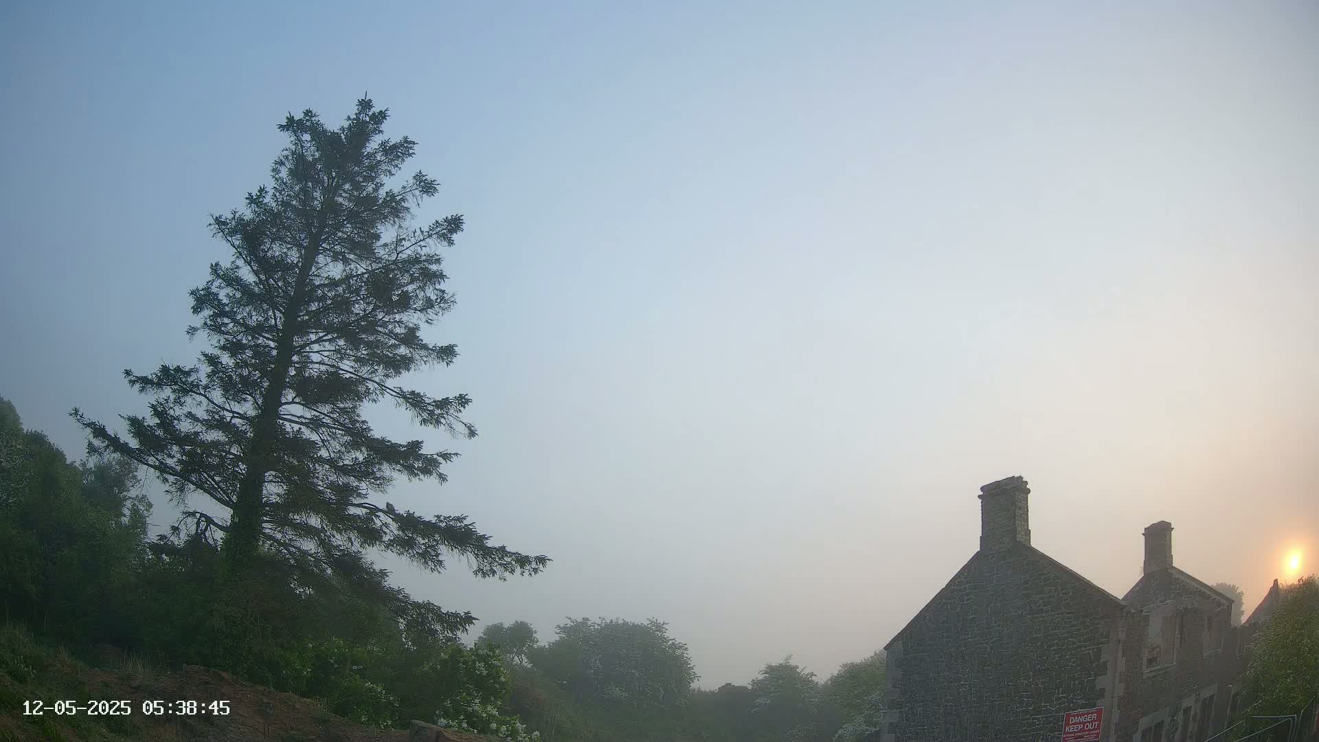 A tall evergreen tree stands to the left of a stone building shrouded in morning mist under a pale sky.