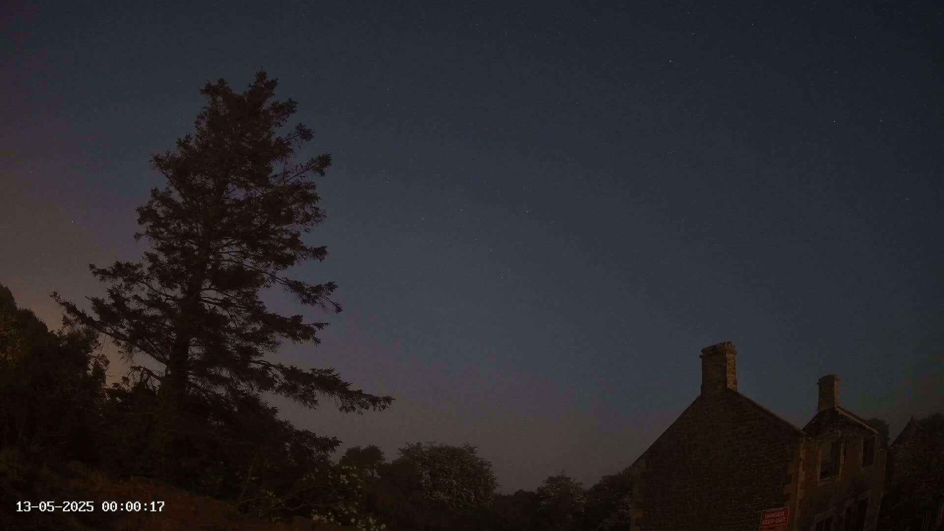 A tall, dark evergreen tree stands to the left of a stone building under a night sky dotted with stars.