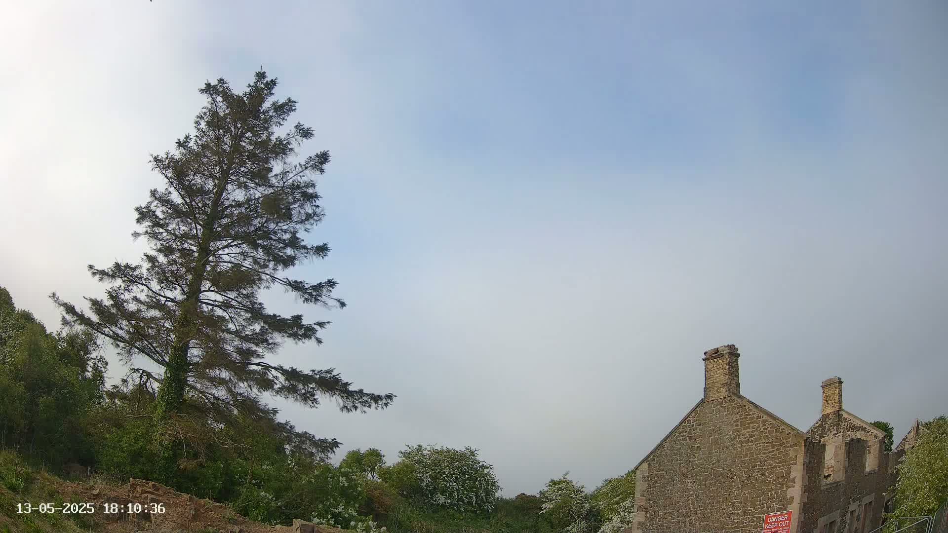 A tall pine tree stands to the left of a partially ruined stone building under a hazy, light blue sky.
