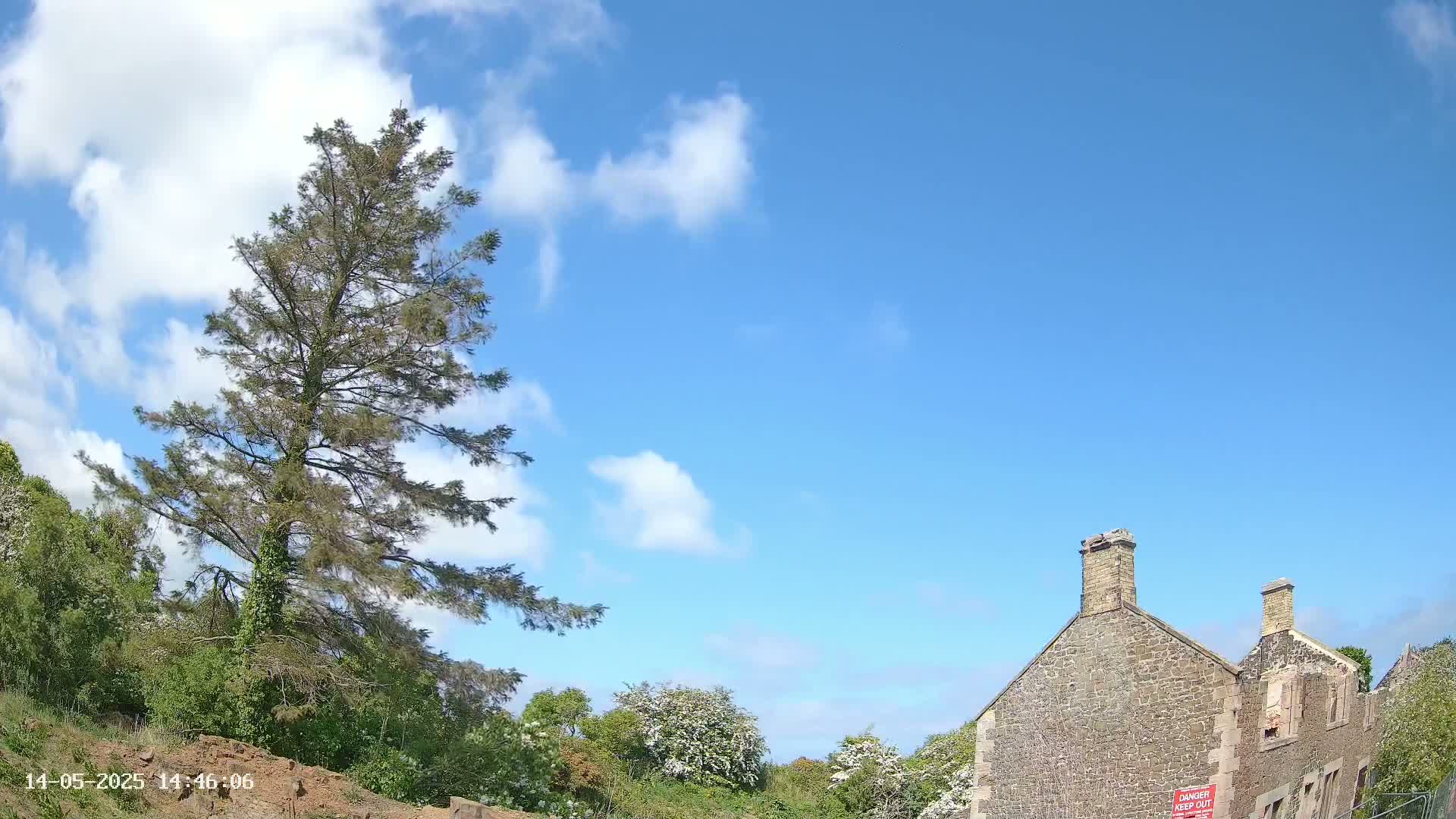 A tall, slender evergreen tree stands beside a stone building under a mostly sunny sky with scattered fluffy clouds.
