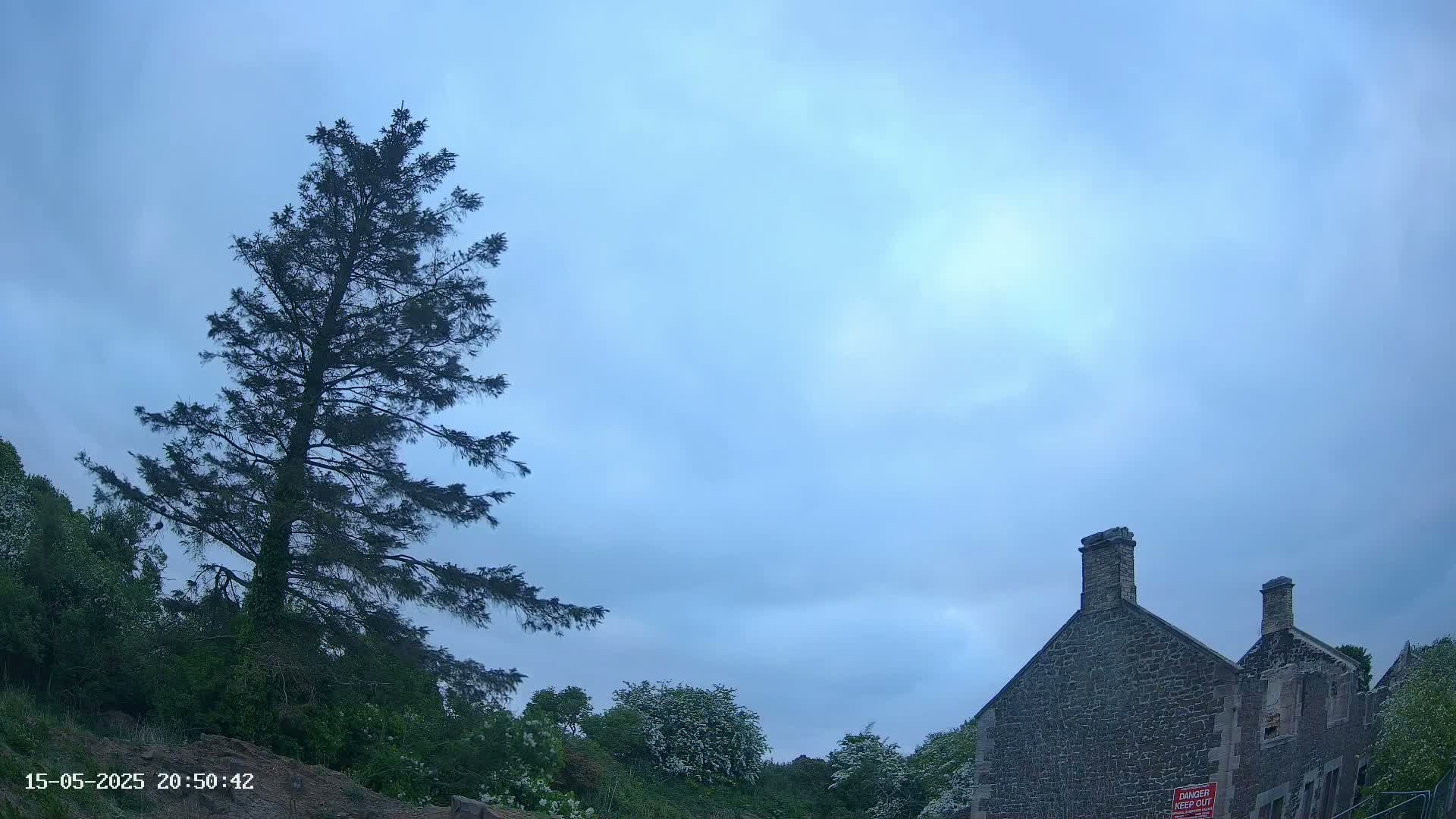 A tall evergreen tree stands beside a stone building under a mostly cloudy, light-blue sky.