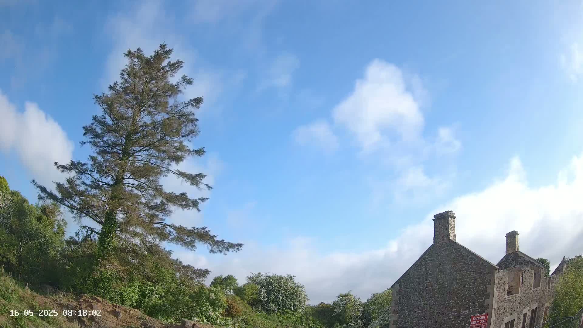 A tall evergreen tree stands to the left of a partially ruined stone building under a mostly sunny sky with scattered clouds.