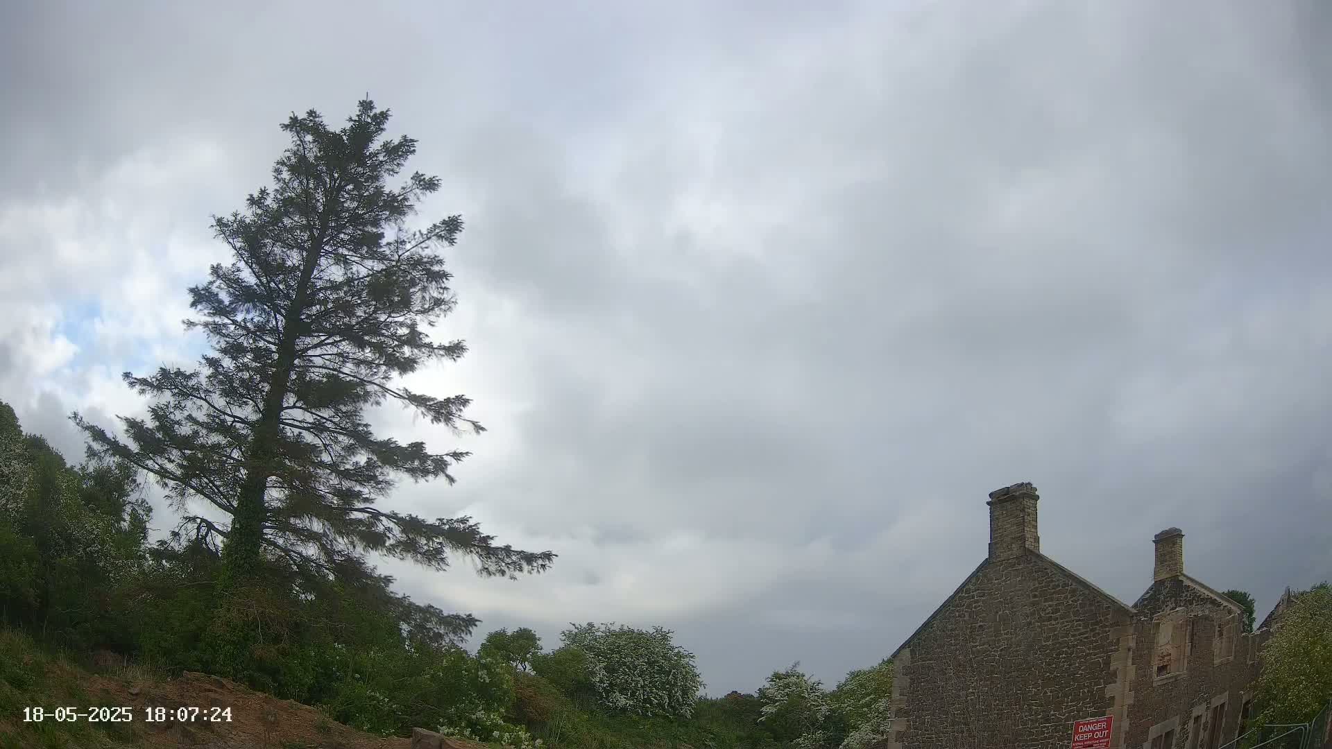 A tall evergreen tree stands to the left of a stone building under a cloudy sky.