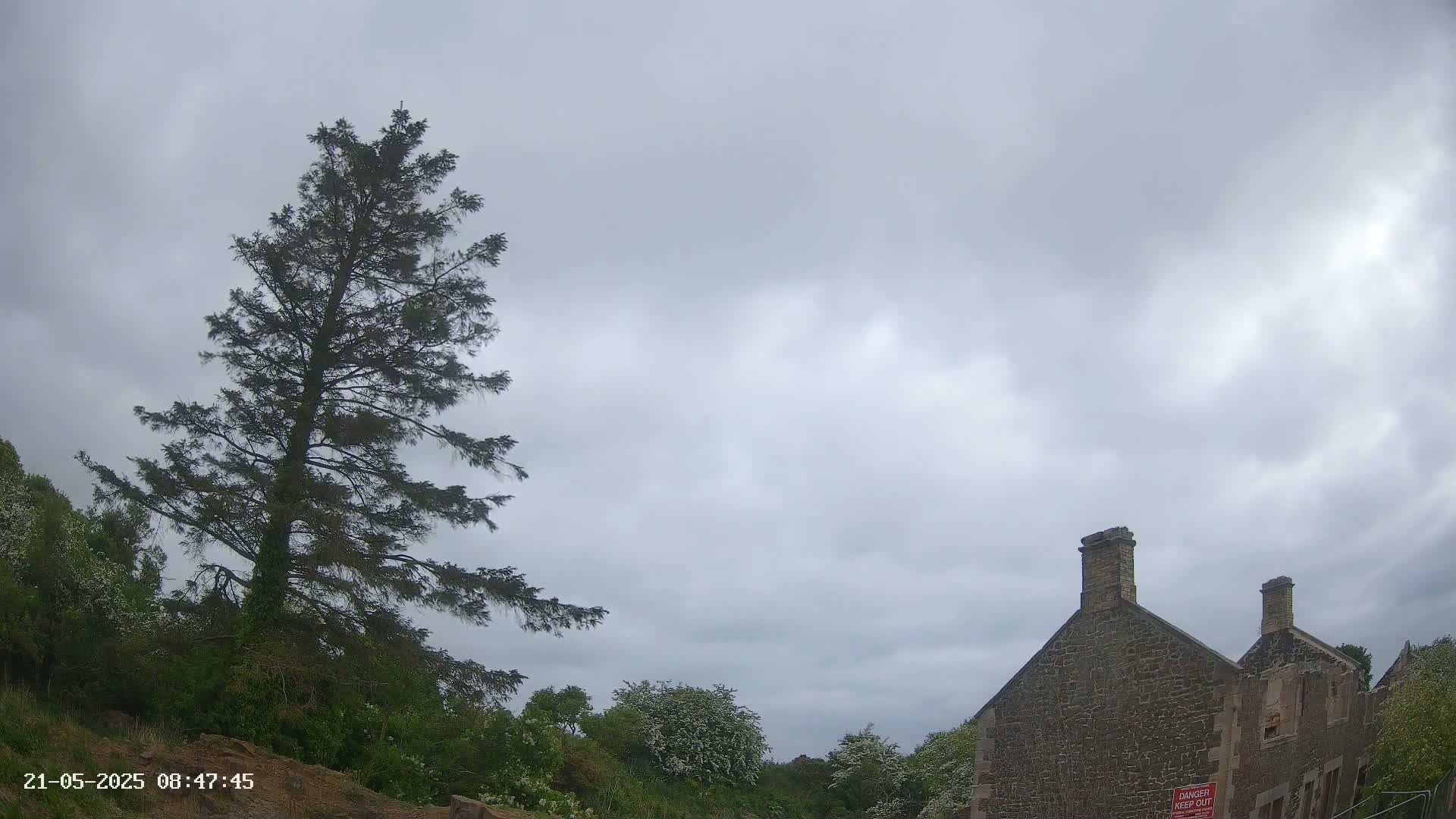 A tall evergreen tree stands beside a stone building under a cloudy sky.