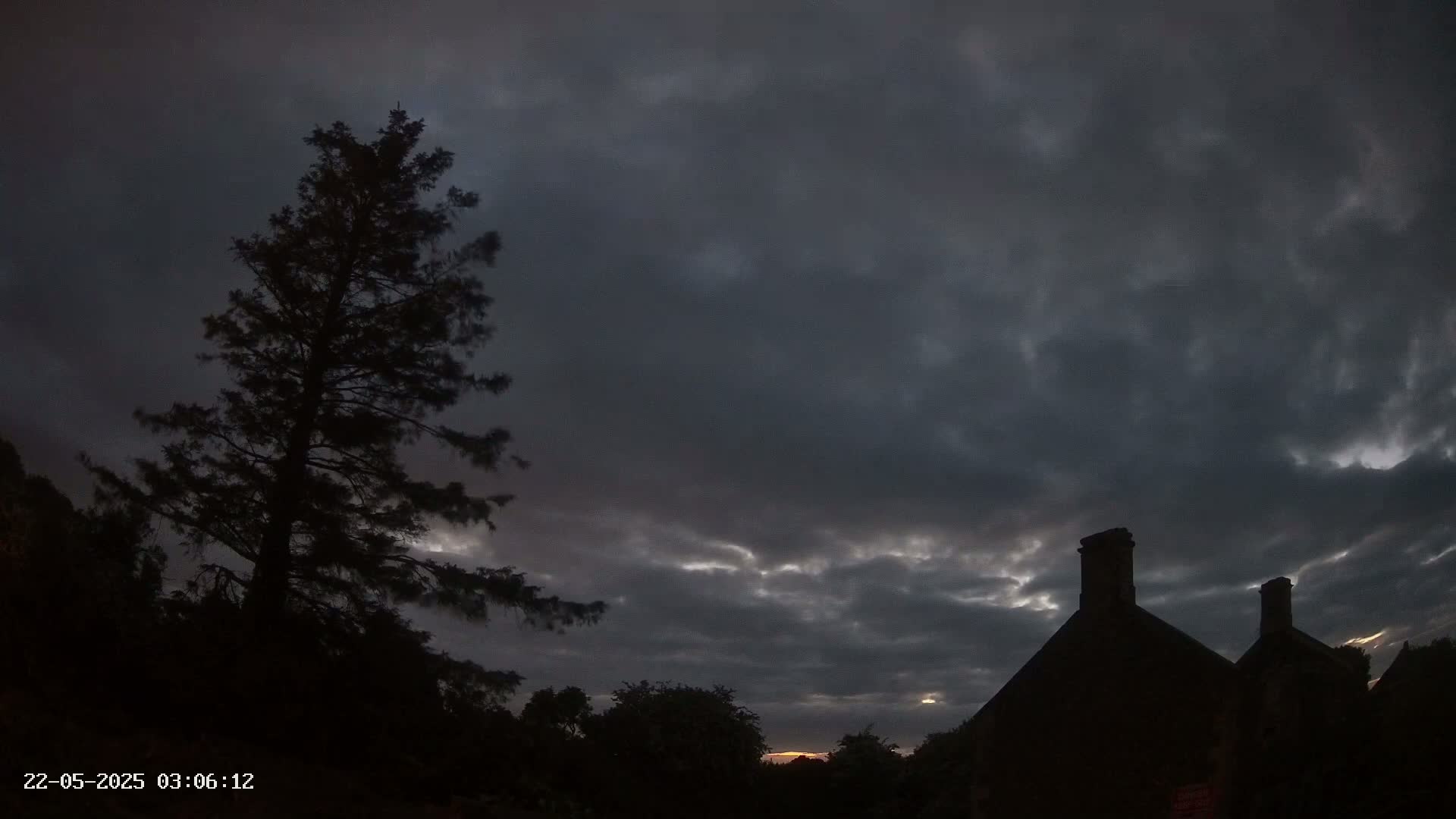 A tall, dark pine tree stands silhouetted against a mostly cloudy, dusky sky, with the dark silhouettes of a house's roof and chimneys visible in the lower right.