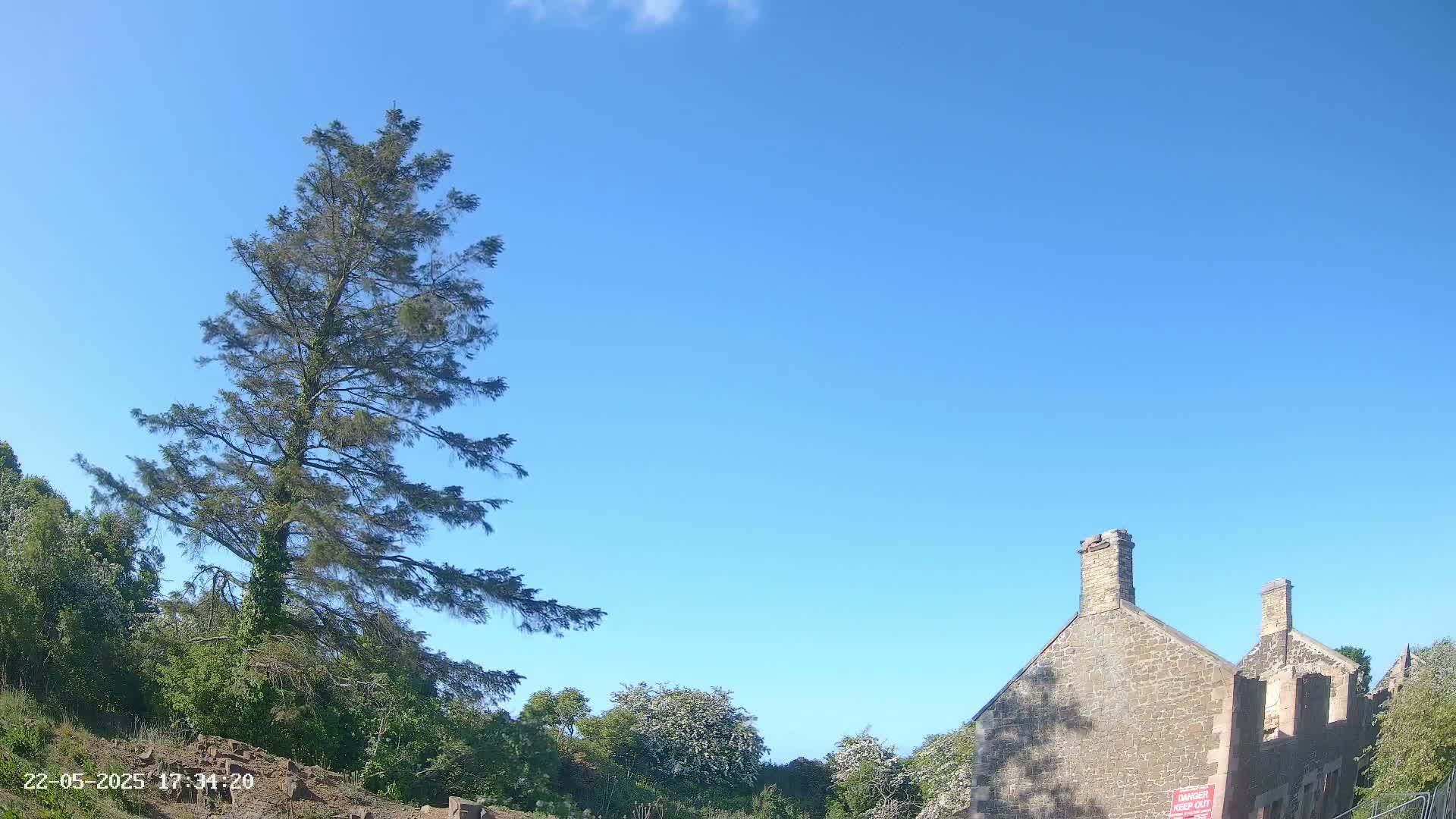 A tall evergreen tree stands to the left of a partially ruined stone building under a clear blue sky.