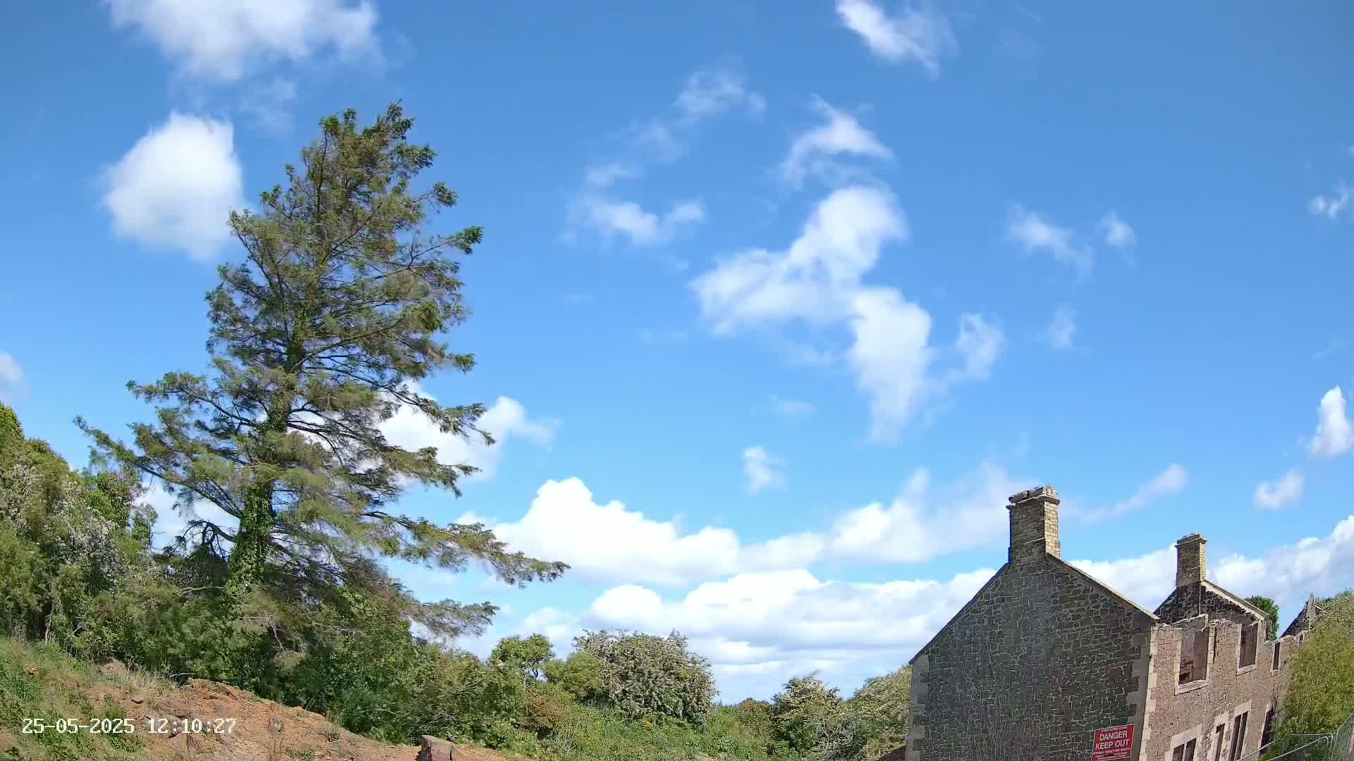 A tall pine tree stands to the left of a partially ruined stone building under a mostly sunny sky with scattered cumulus clouds.