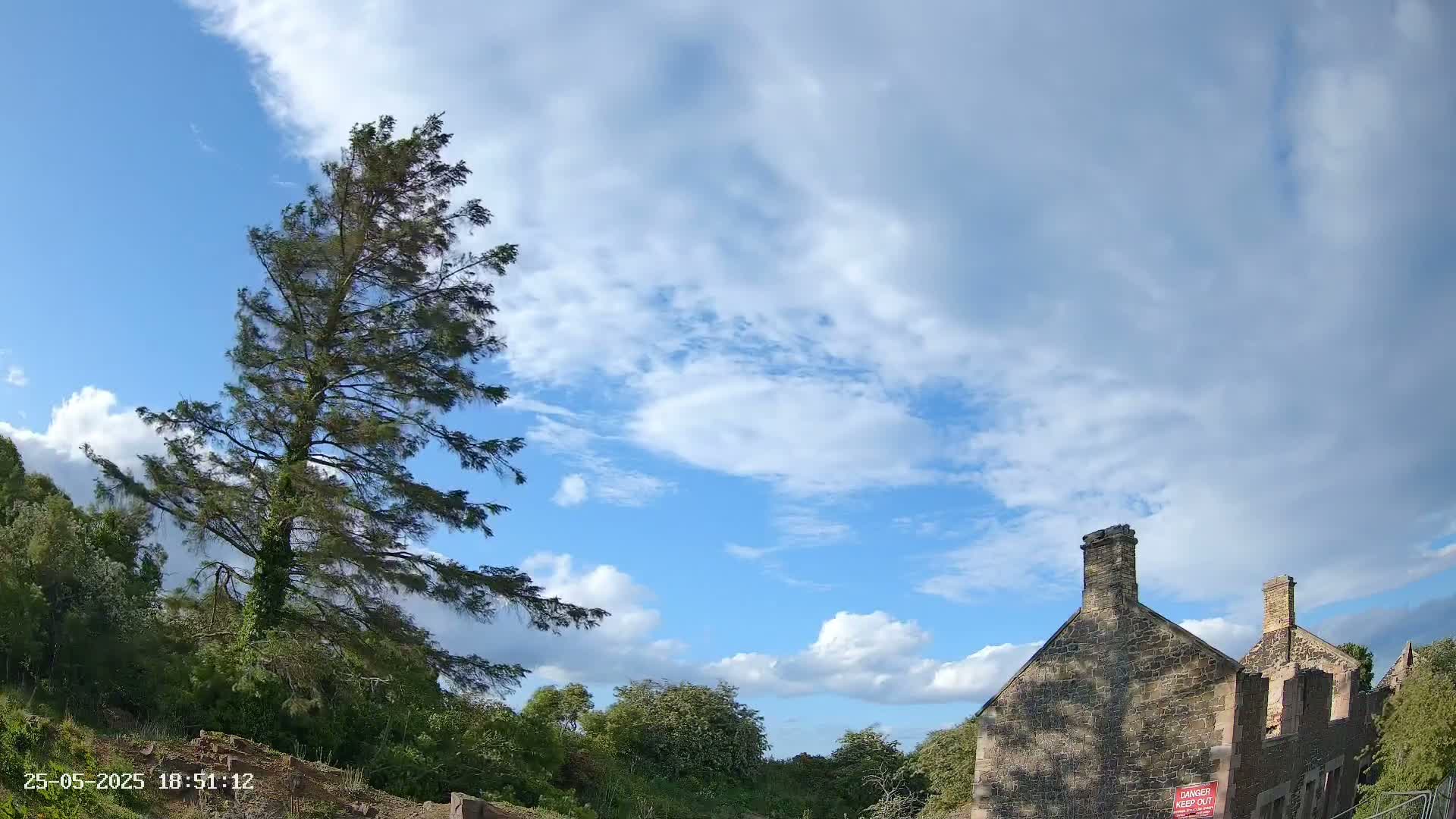 A tall pine tree stands beside a partially ruined stone building under a partly cloudy blue sky.