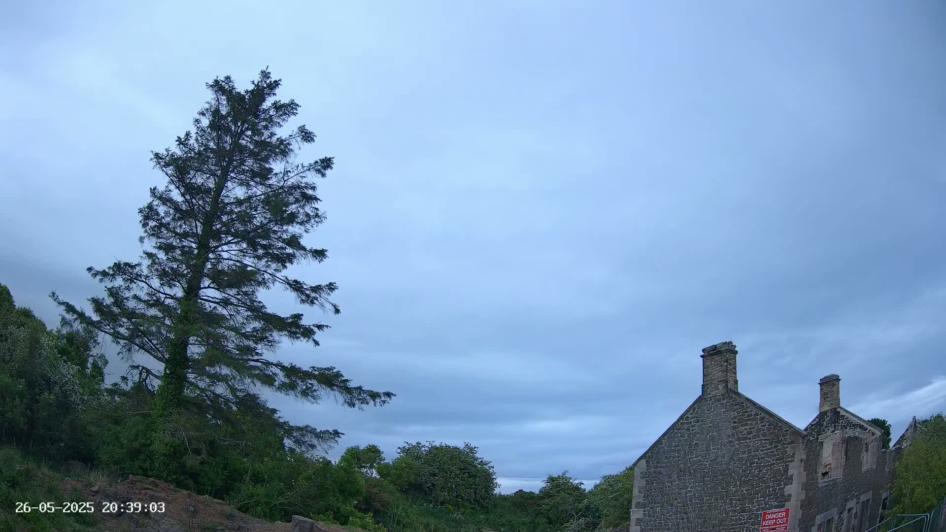 Under a mostly cloudy, light-blue sky, a tall pine tree stands to the left of a partially ruined stone building.