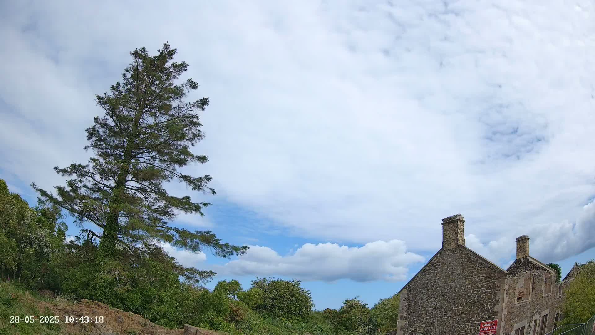 A tall evergreen tree stands beside a partly ruined stone building under a partly cloudy sky.
