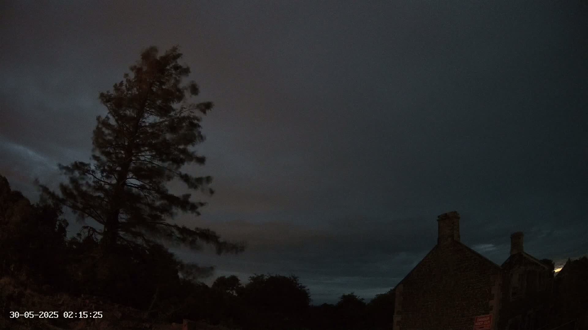 A tall, dark tree sways in the wind under a dark, cloudy night sky next to a stone building.