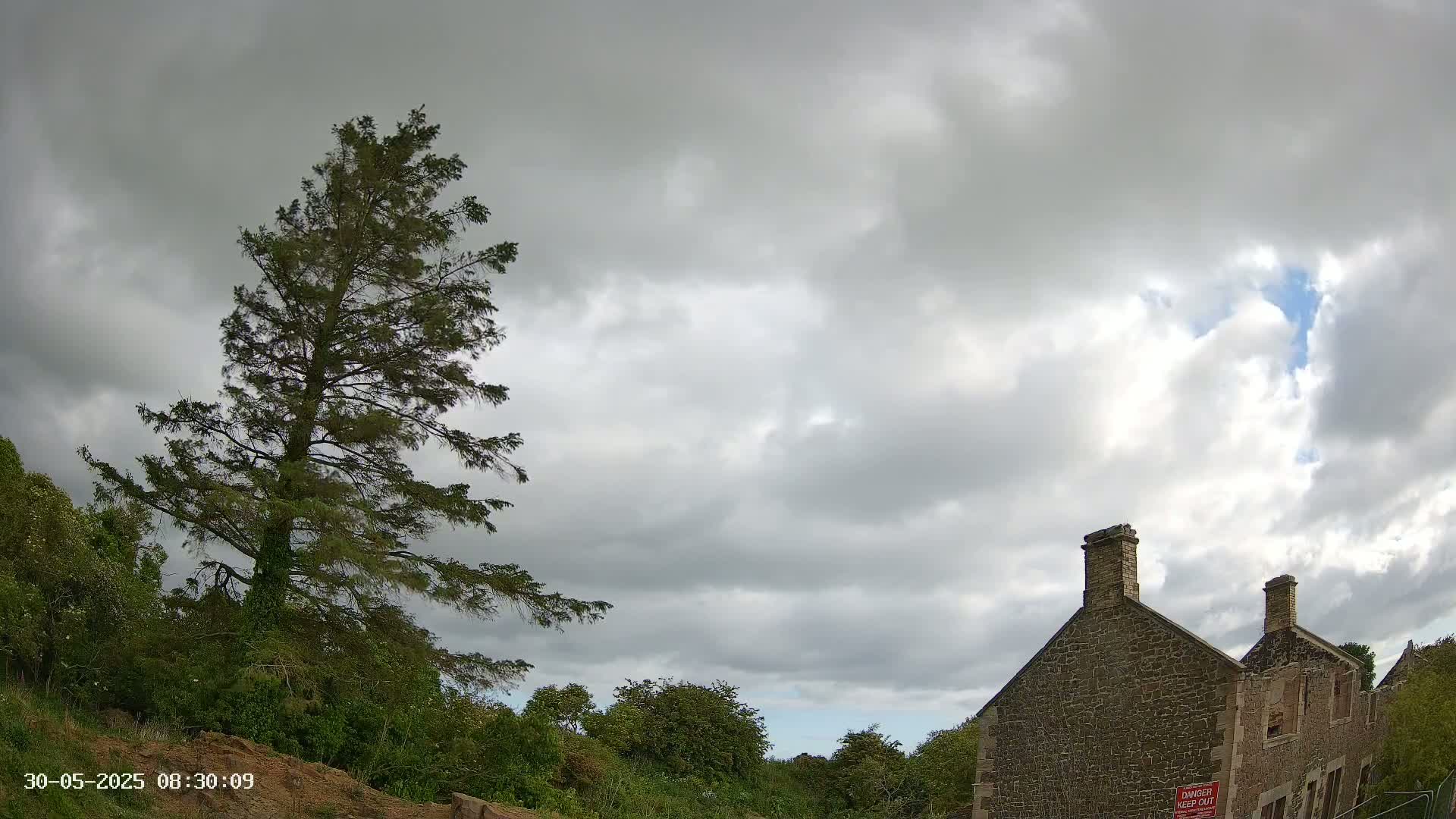 A tall evergreen tree stands to the left of a partially ruined stone building under a mostly cloudy sky.