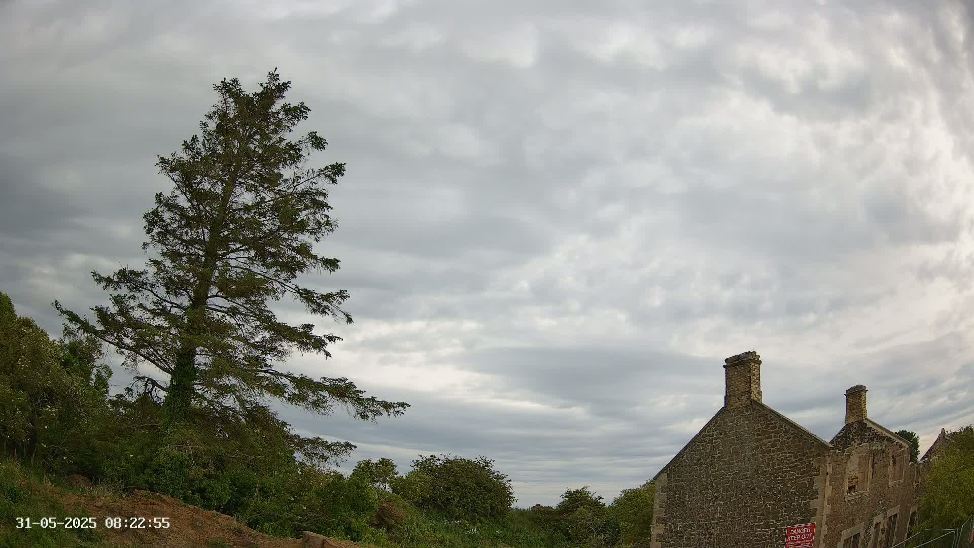 A tall evergreen tree stands to the left of a stone building under a mostly cloudy sky.