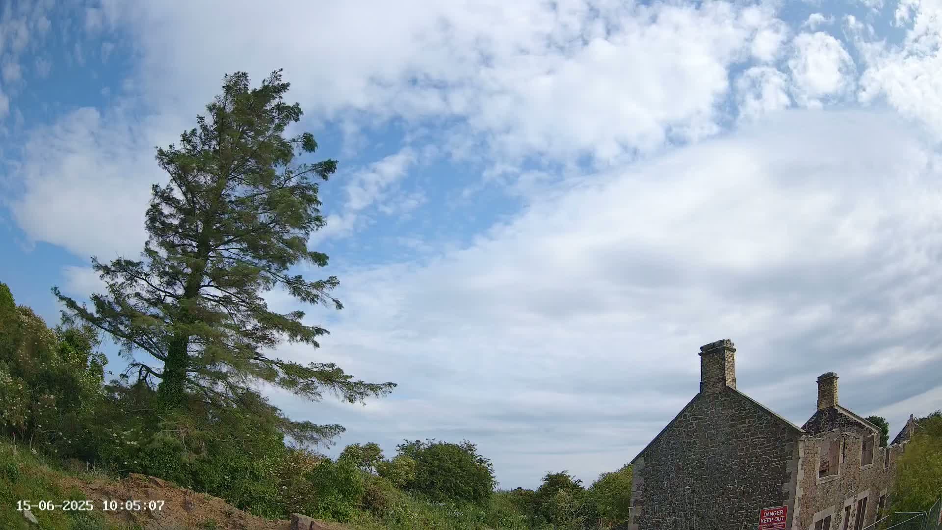 A tall pine tree stands to the left of a partially ruined stone building under a partly cloudy sky.