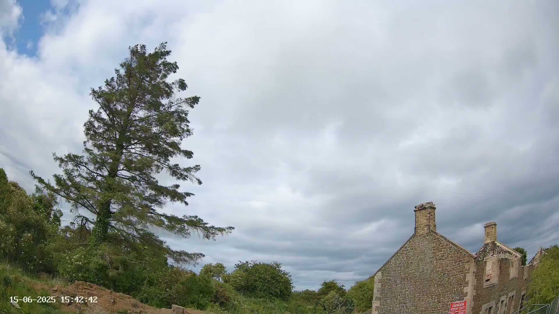 A tall pine tree sways in the wind under a mostly cloudy sky, beside a partially ruined stone building.