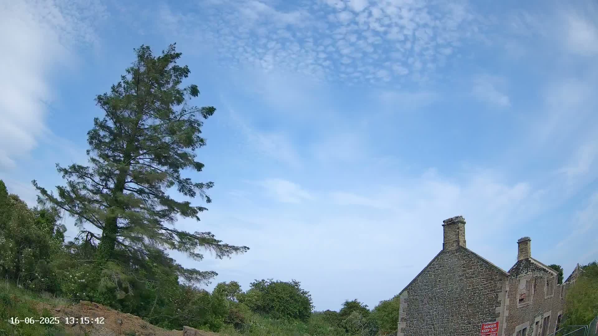 A tall pine tree stands to the left of a partially ruined stone building under a mostly clear, bright blue sky with scattered small clouds.