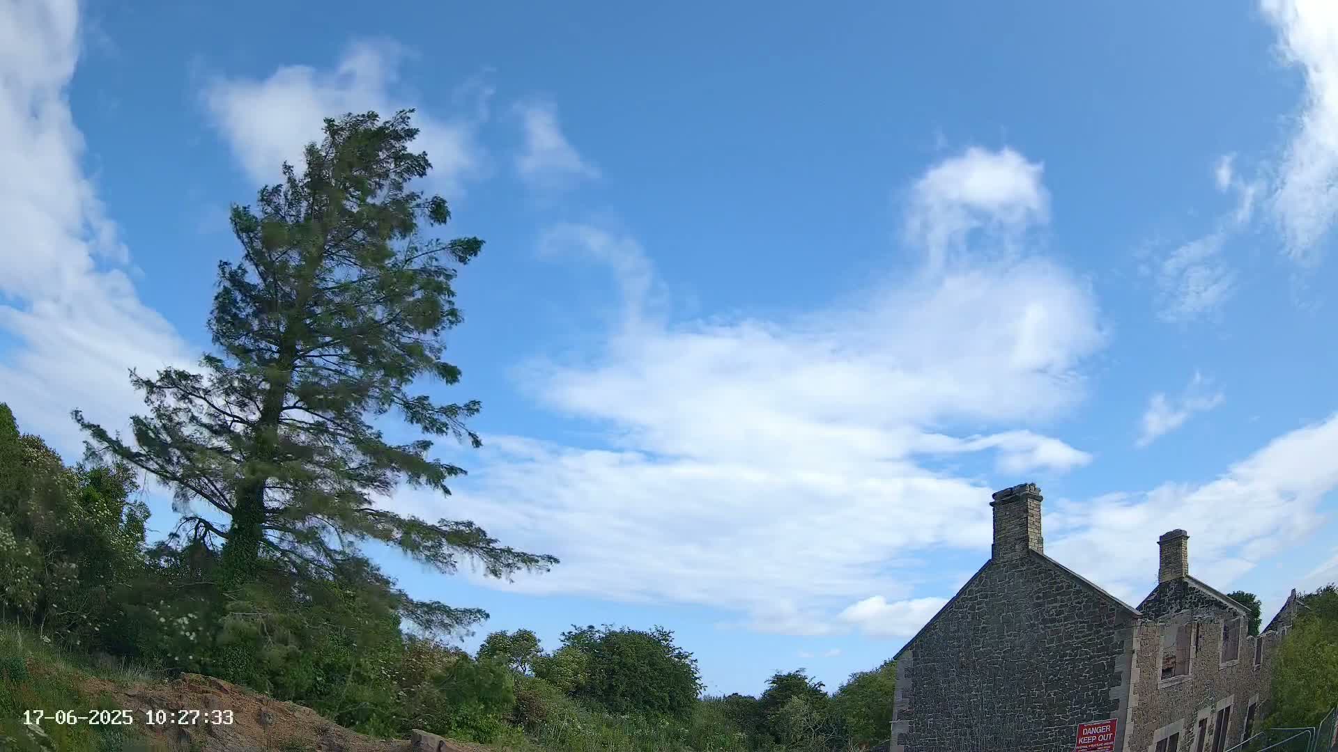 A tall, slender evergreen tree sways under a partly cloudy blue sky near a stone building.