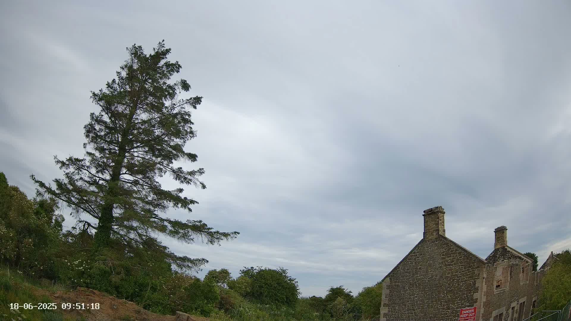 A tall evergreen tree stands to the left of a partially ruined stone building under a cloudy sky.