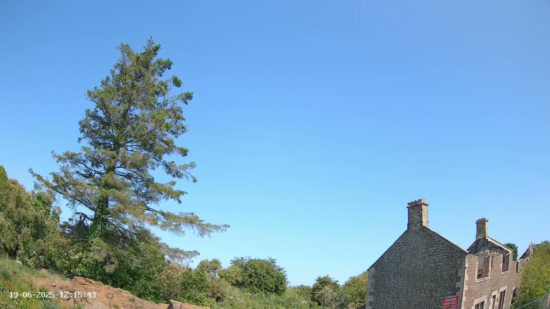 A large evergreen tree stands to the left of a stone building under a clear blue sky.