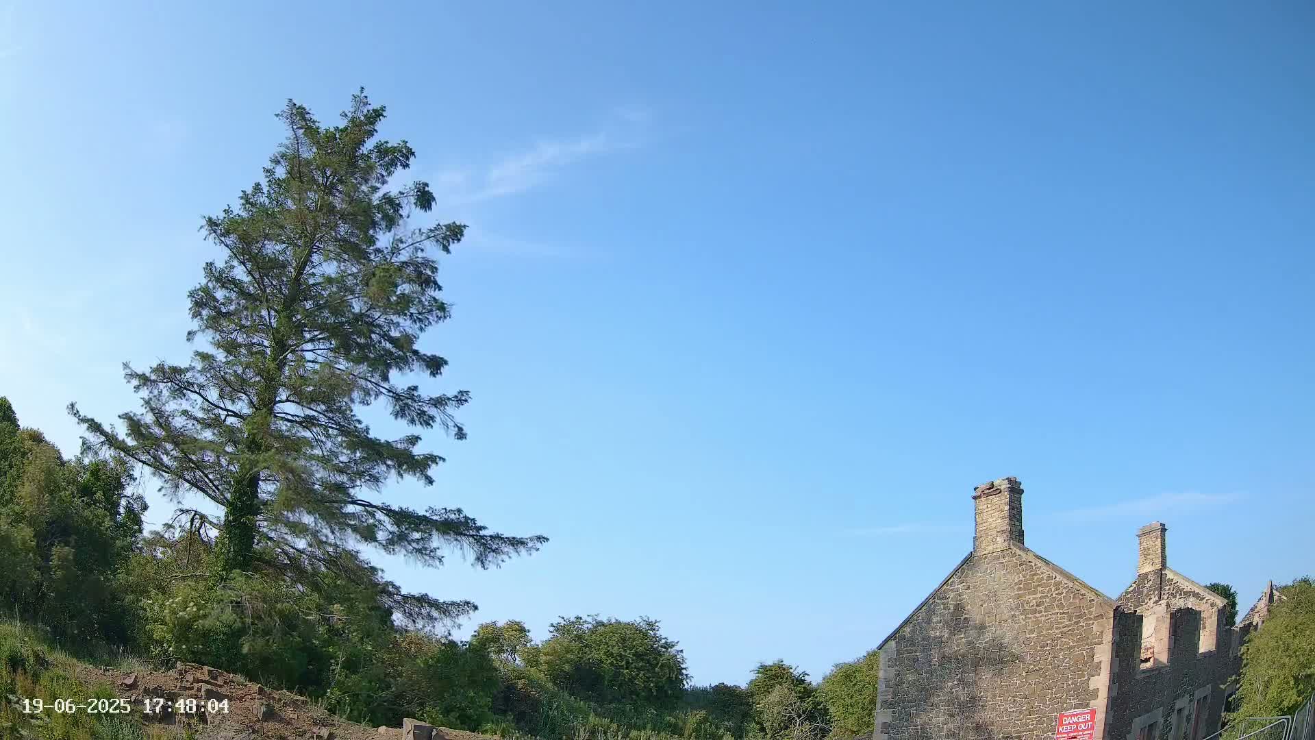 A tall evergreen tree stands to the left of a partially ruined stone building under a clear blue sky.