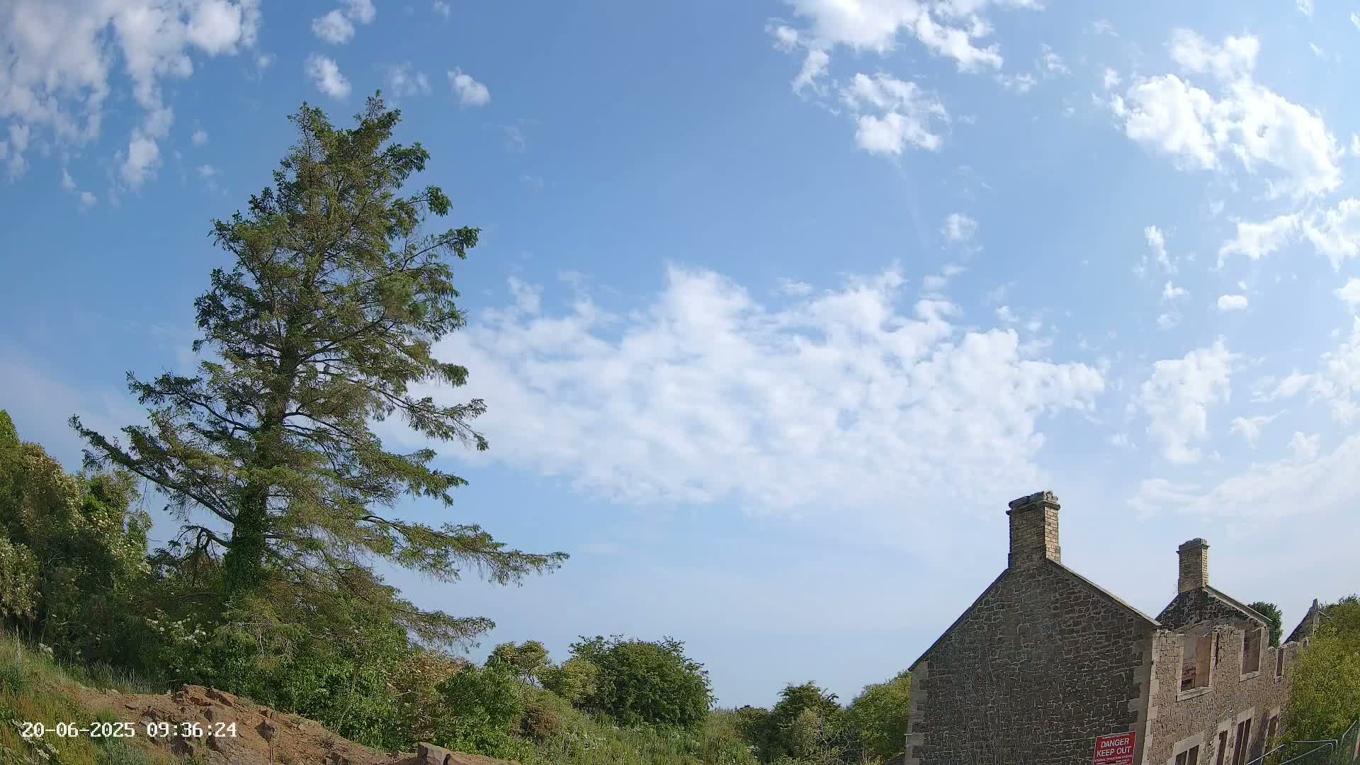 A tall evergreen tree stands to the left of a partially ruined stone building under a mostly sunny sky with scattered clouds.