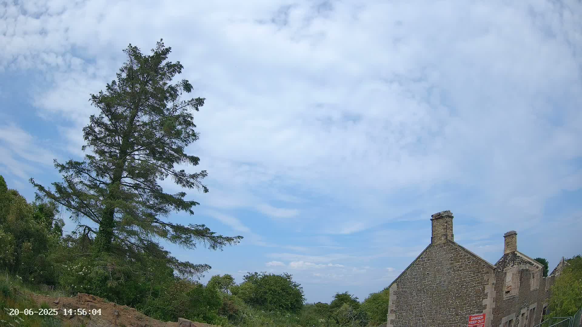 A tall evergreen tree stands to the left of a partially ruined stone building under a partly cloudy blue sky.