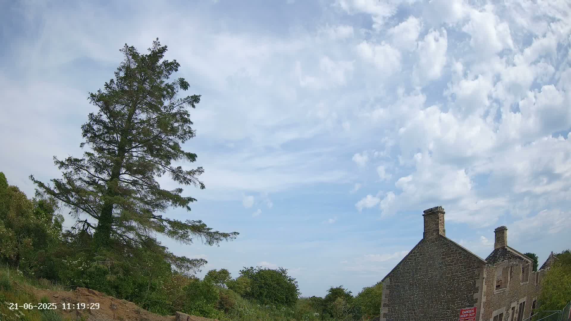 A tall evergreen tree stands to the left of a partially ruined stone building under a partly cloudy sky.