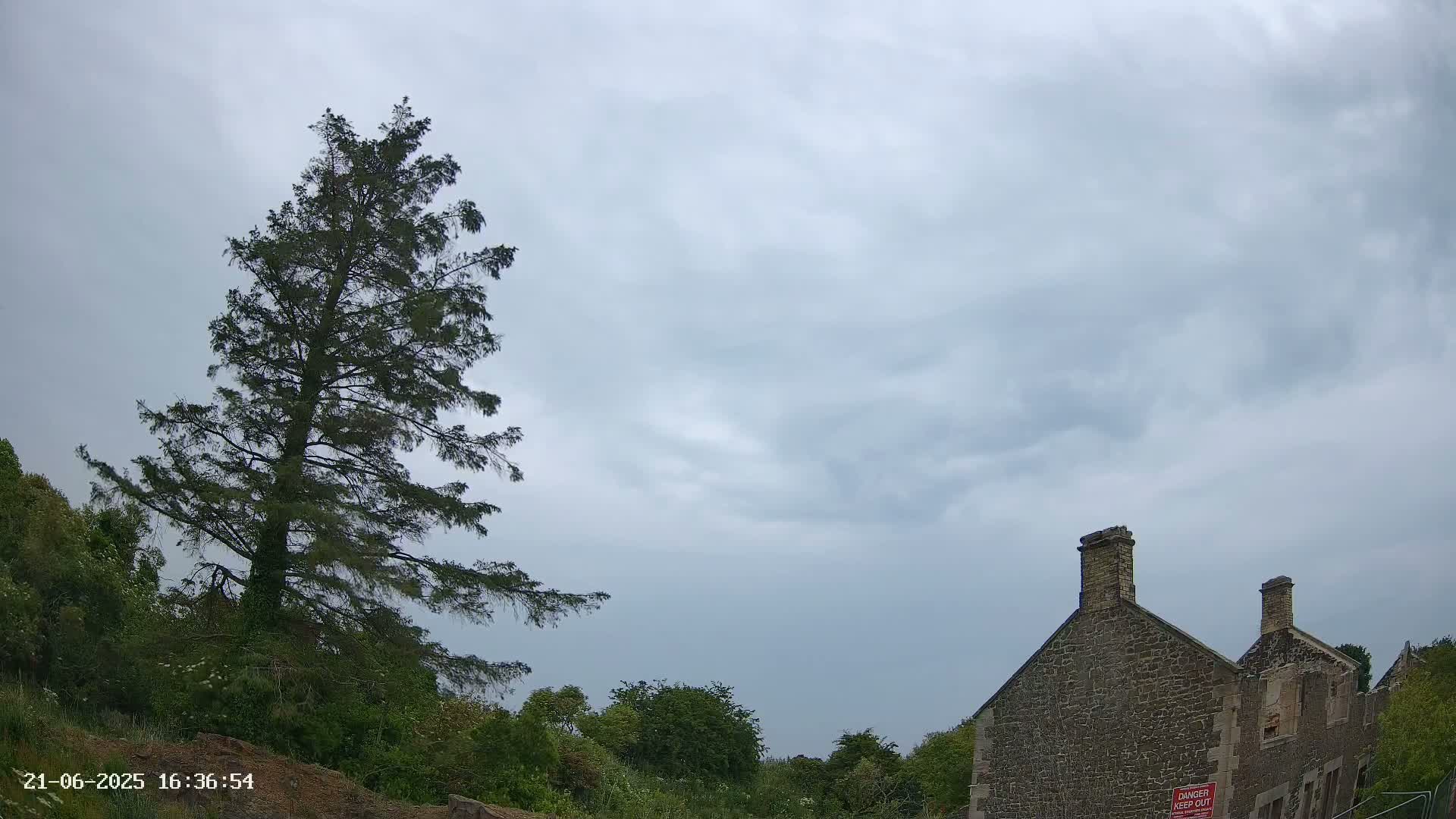 A tall evergreen tree stands to the left of a partially ruined stone building under a cloudy sky.