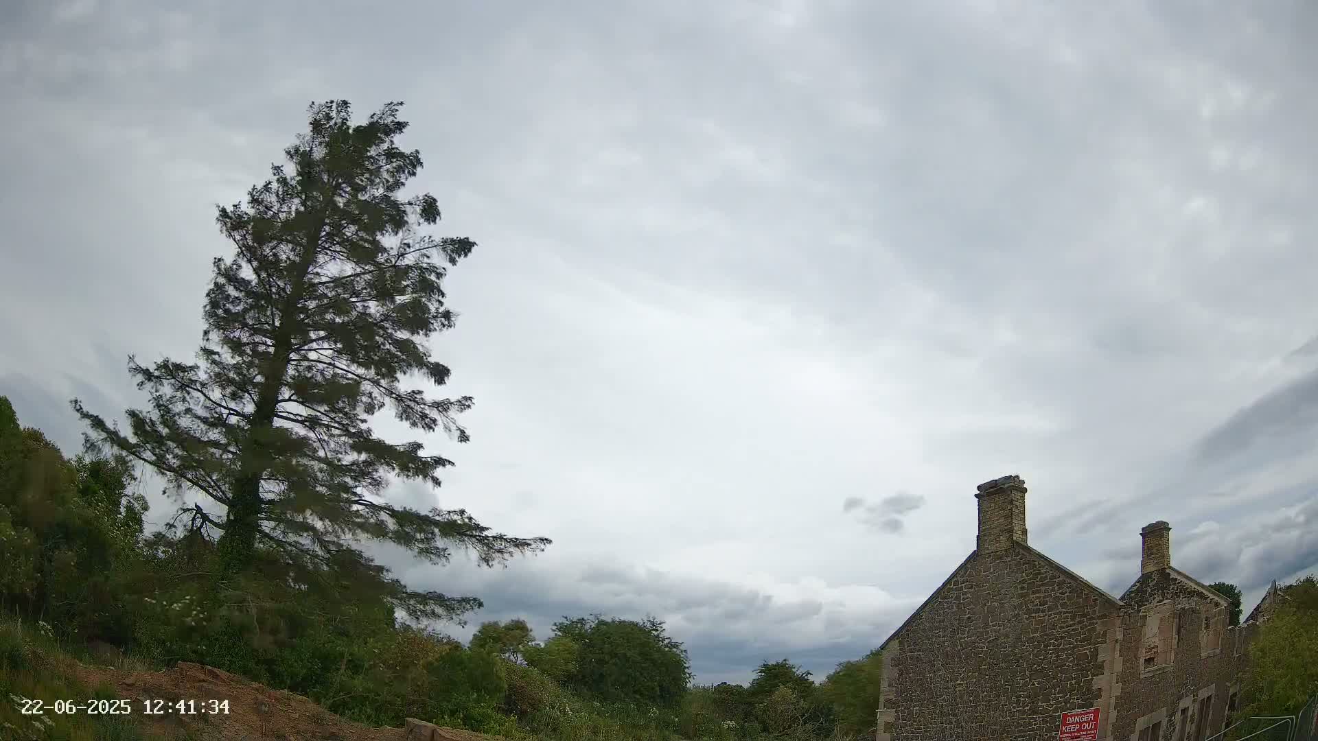 A tall, dark evergreen tree stands to the left of a partially ruined stone building under an overcast sky.