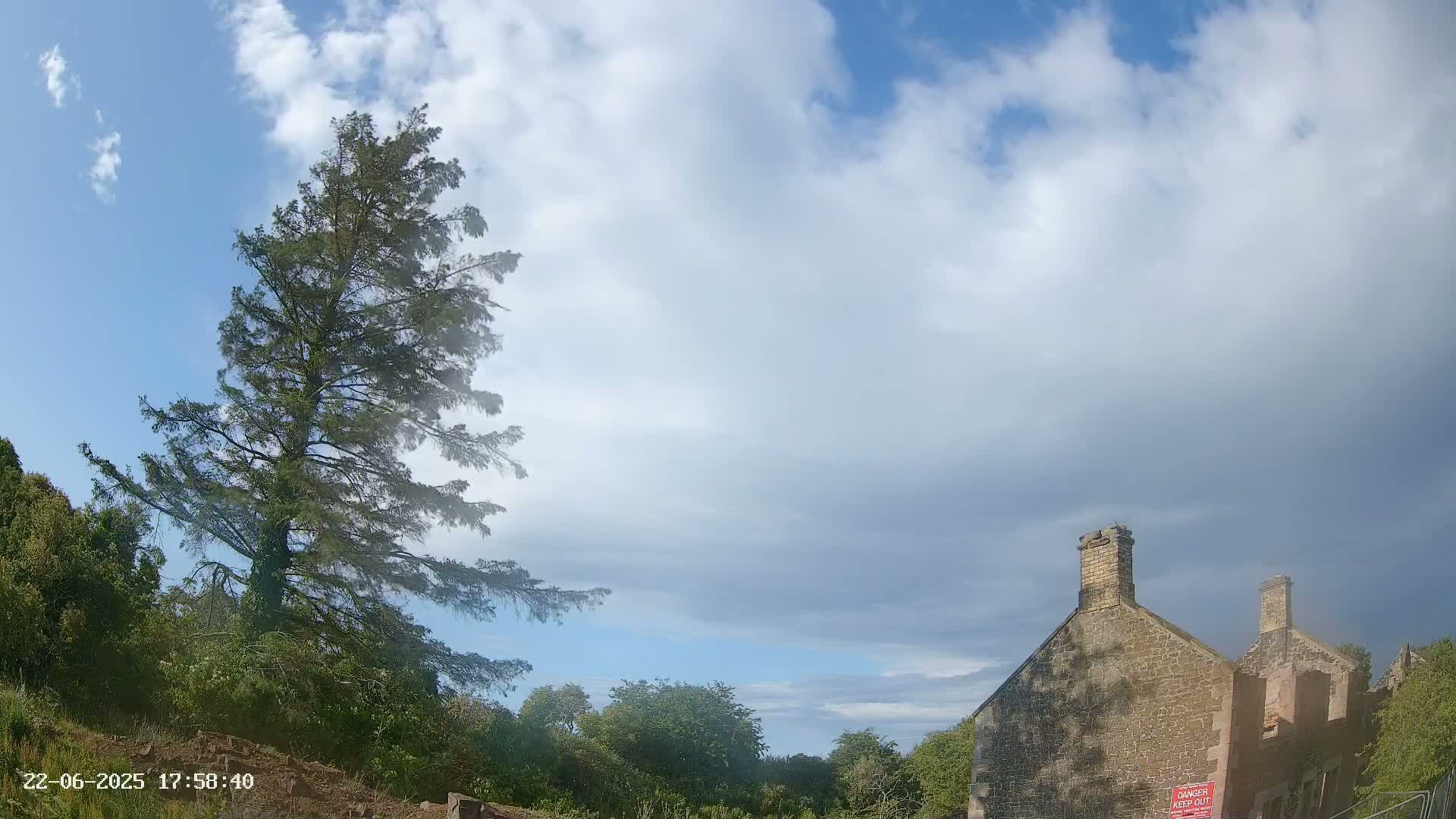 A tall, slender evergreen tree stands to the left of a partially ruined stone building under a partly cloudy sky.