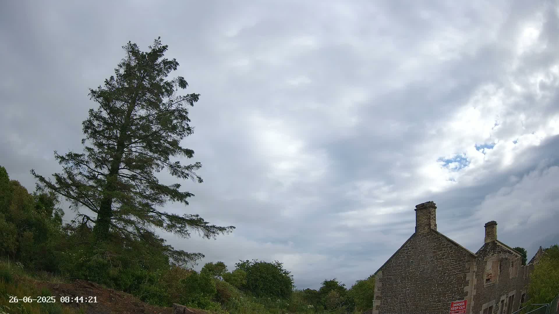 A tall evergreen tree stands to the left of a stone building under a mostly cloudy sky.